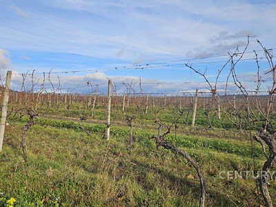 Mikulov, okres Břeclav